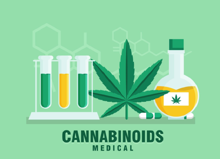 The Science Behind Medical Marijuana: How It Works in the Body