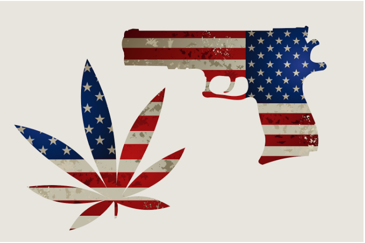 Navigating the Legal Landscape of Medical Marijuana and Gun Ownership: Conceal and Carry Laws in Florida